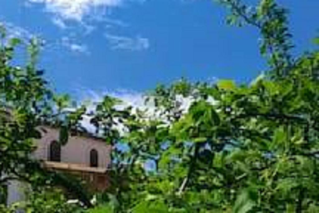 Il Gelsomino Home Holiday Алкамо Экстерьер фото